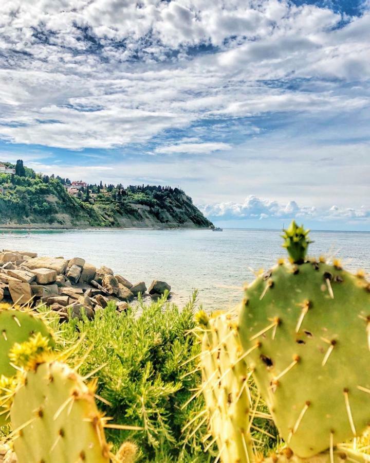 Barbara Piran Beach Hotel Экстерьер фото